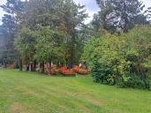 Bild1