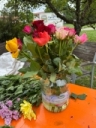 Bild3