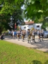 Bild14
